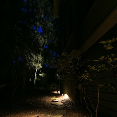 Path Lighting Photo